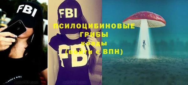 PSILOCYBIN Алексин