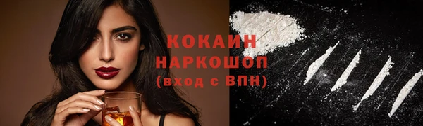 гидра Рославль