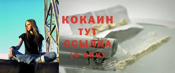 гидра Рославль