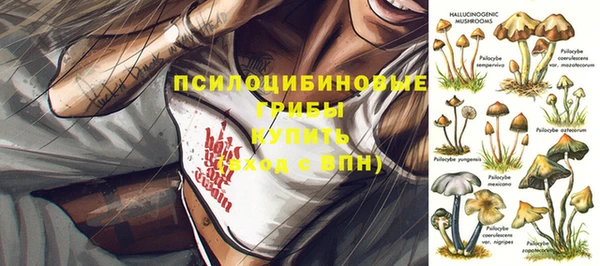 трава Алексеевка