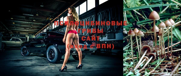 PSILOCYBIN Алексин