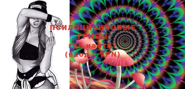 PSILOCYBIN Алексин