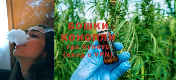 прущие грибы Россошь