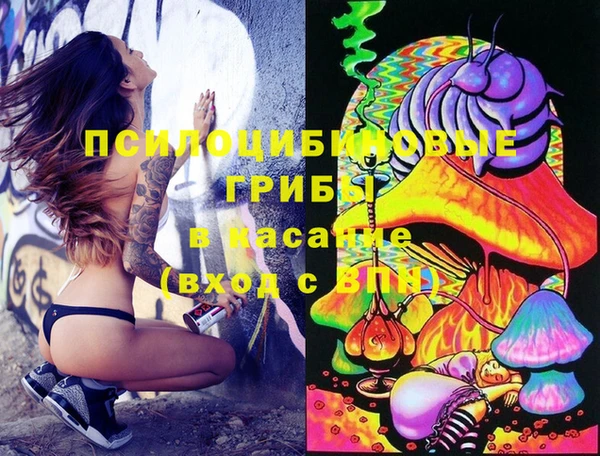 молекула духа Алзамай