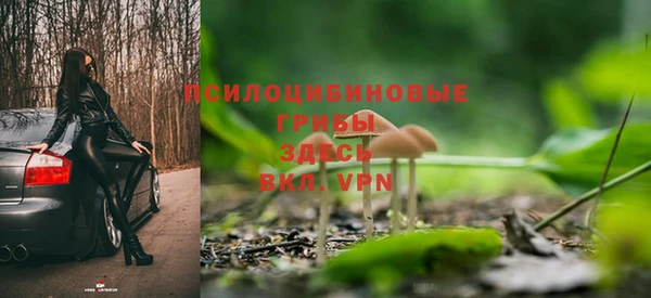 молекула духа Алзамай