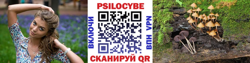 Галлюциногенные грибы Cubensis  Кулебаки 